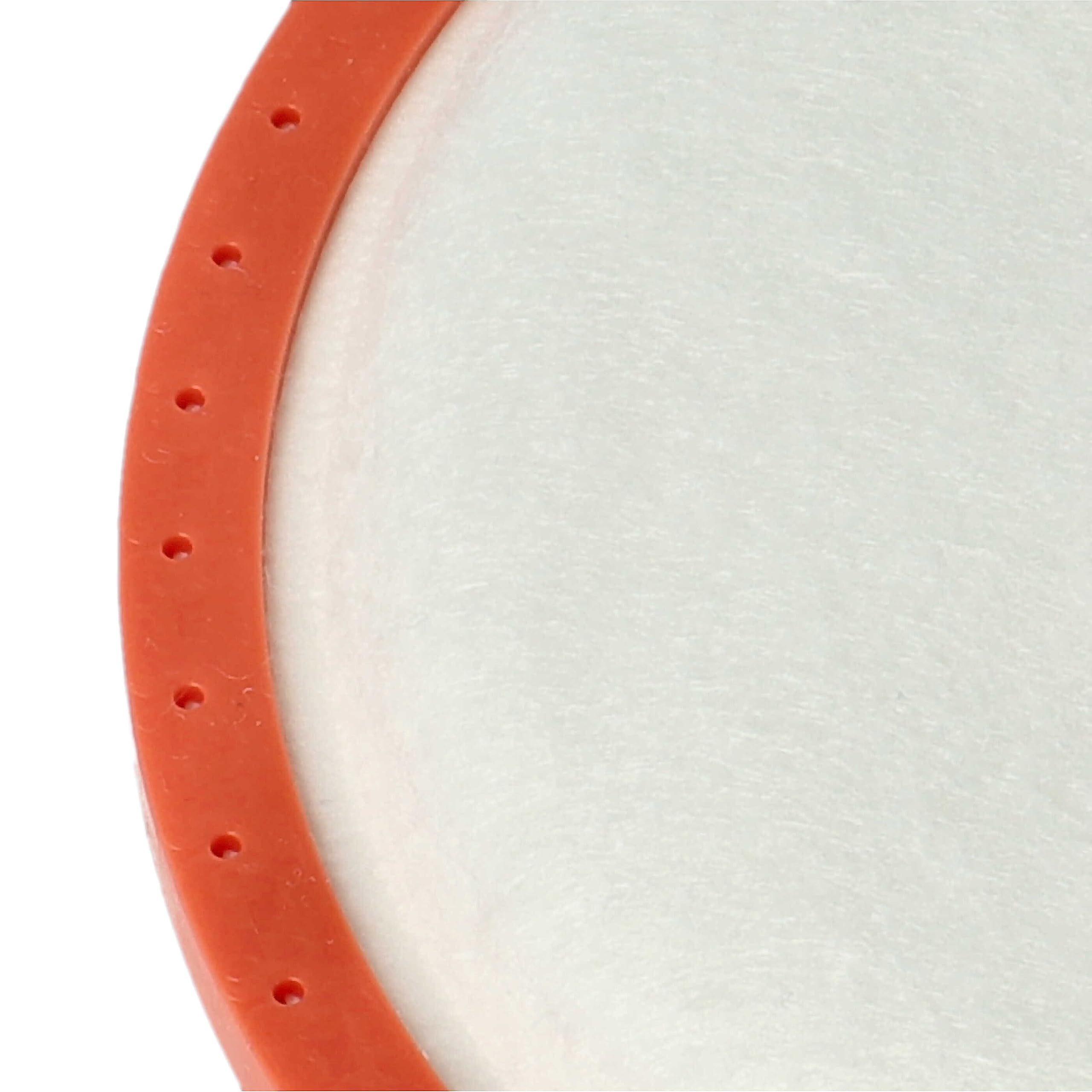 vhbw Filtro pre-motore per Dirt Devil DD2620 salvamotore