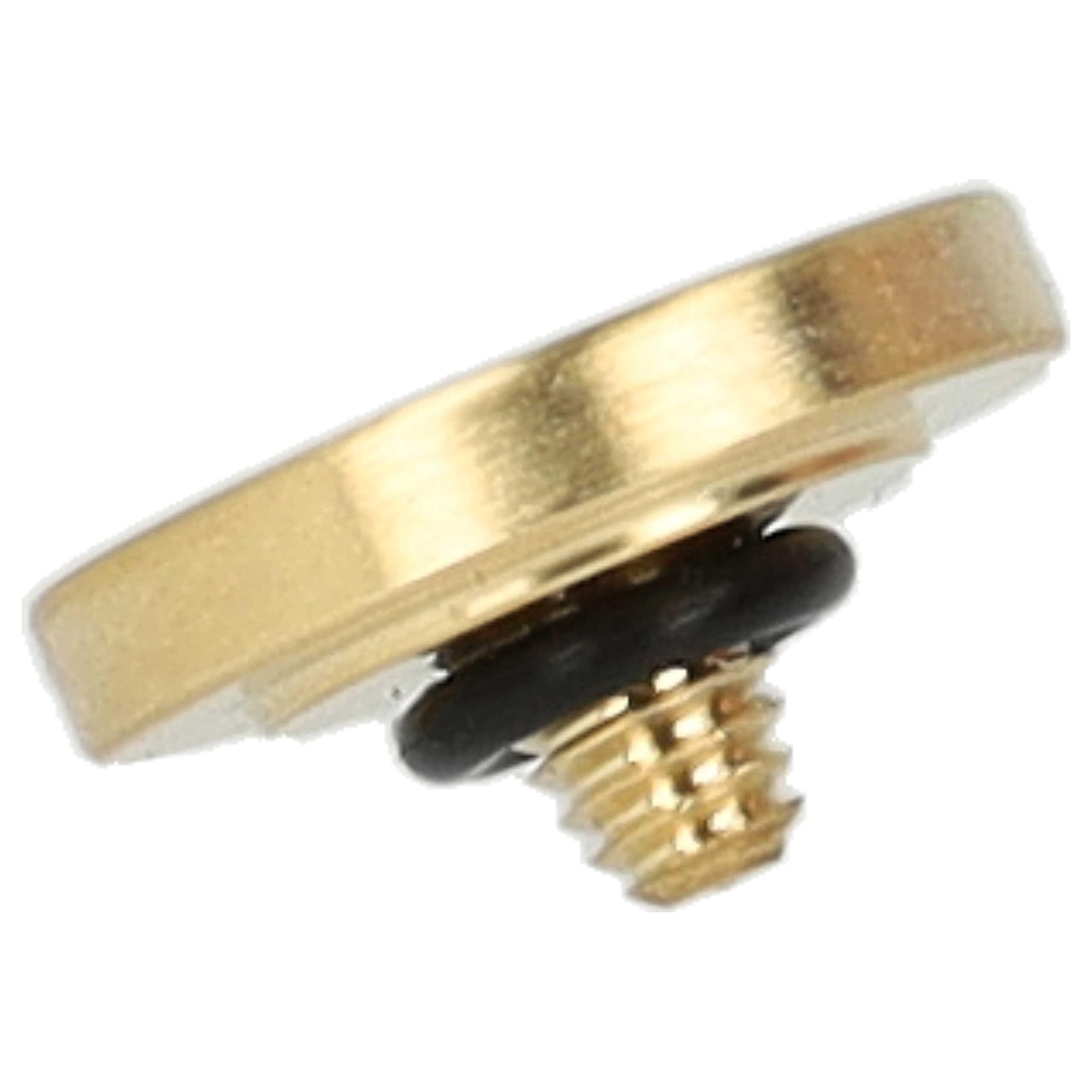 vhbw Pulsante di Scatto Oro per Fujifilm X100 Metallo