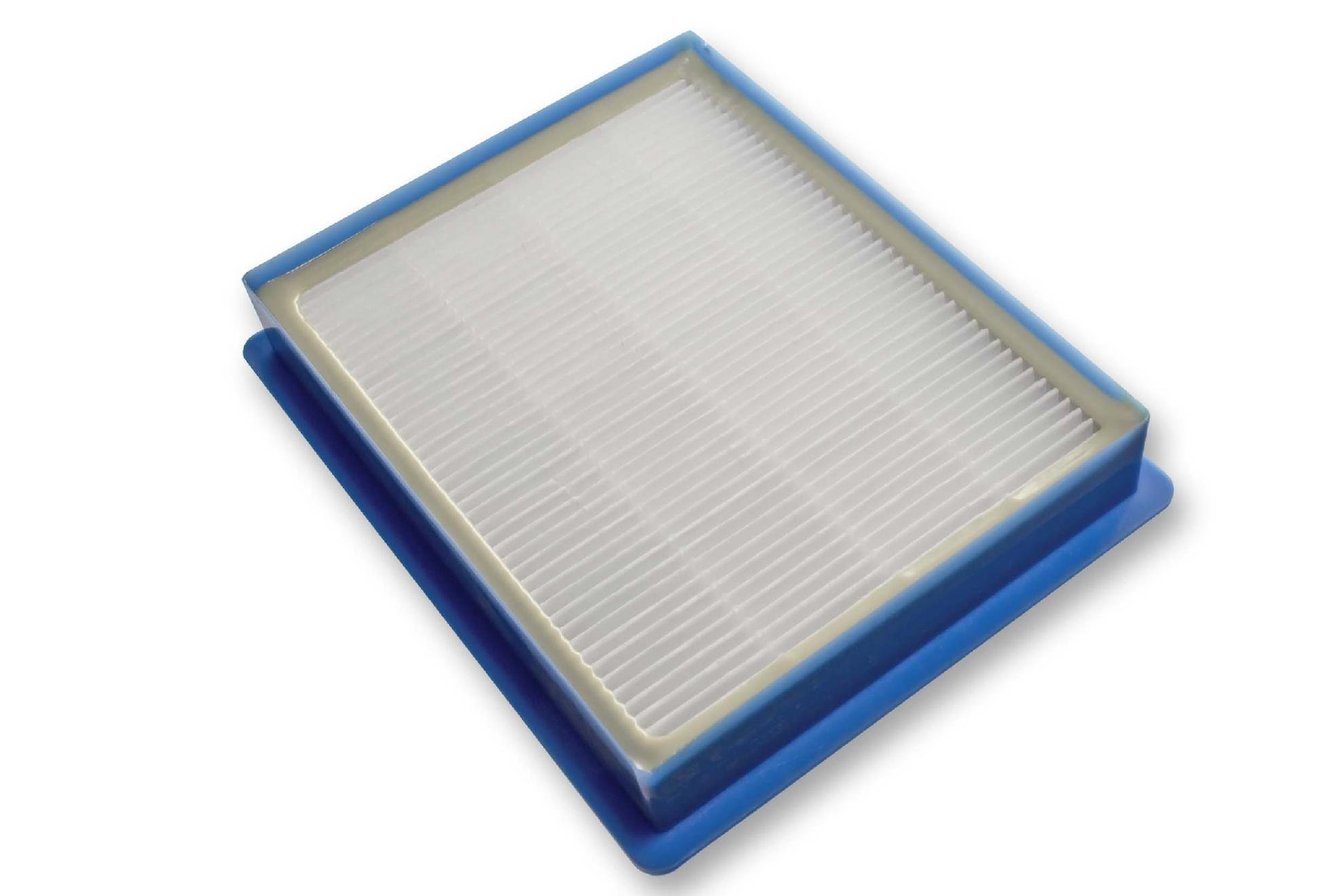 vhbw Filtro HEPA allergico per AEG Philips AEF13W