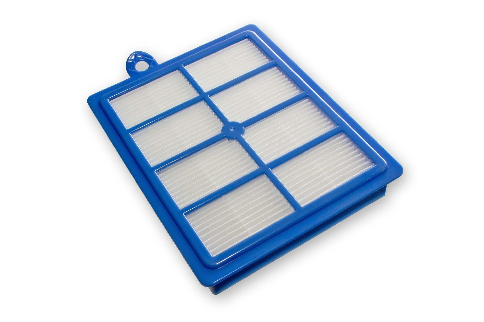 vhbw Filtro HEPA allergico per AEG Philips AEF13W