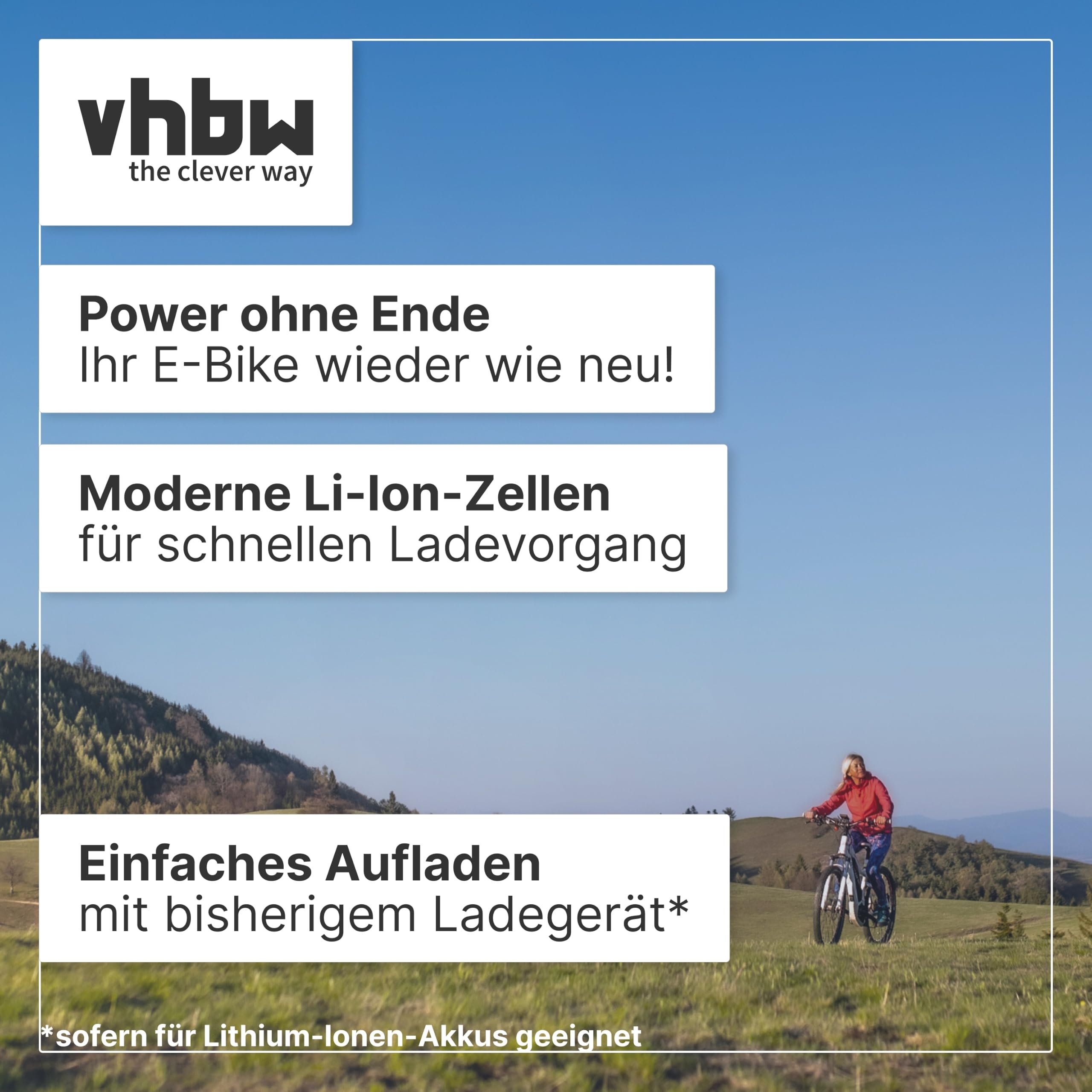 vhbw Batteria bici elettrica per Kettler 13,2Ah 25,2V grigia