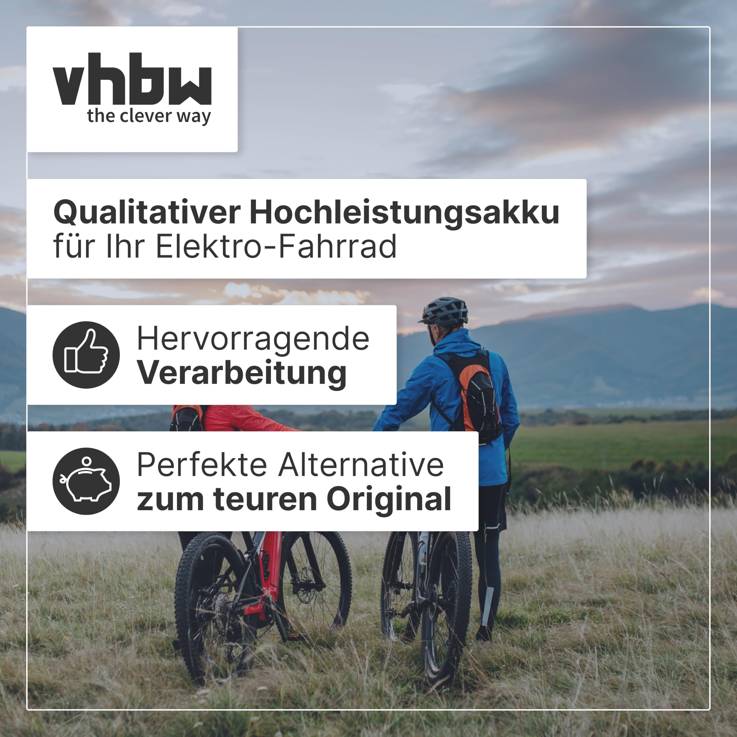 vhbw Batteria bici elettrica per Kettler 13,2Ah 25,2V grigia